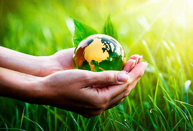 Fuentes de energía renovable